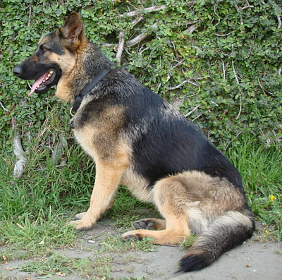 breezy von tidwell sitting